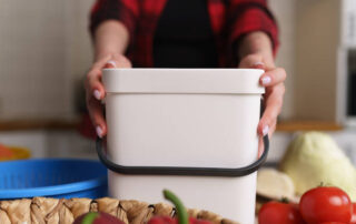 silent stainless steel food disposals